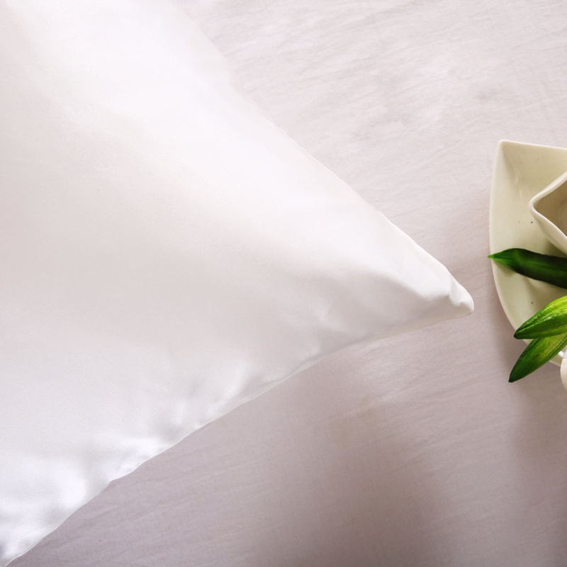 100% Nature Mulberry Silk Pill - Satin Pillowcase Silk review and price